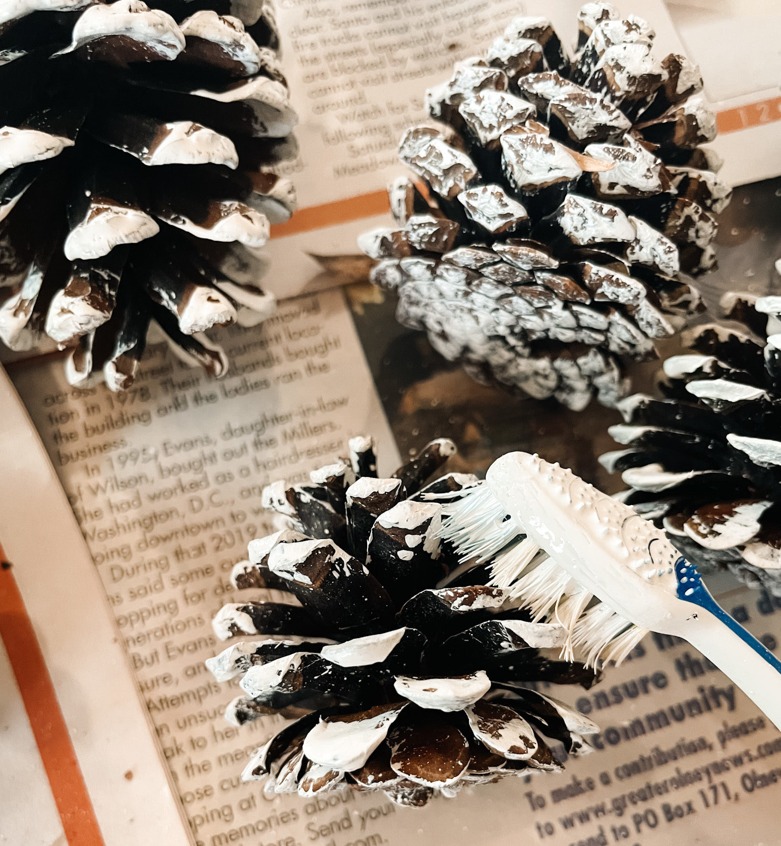 how to use a toothbrush to paint snow on a pinecone